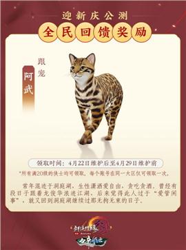 天龙八部私服设置保存